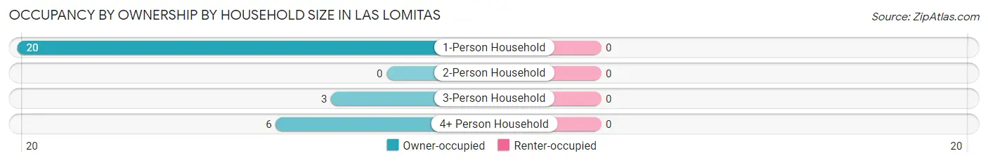 Occupancy by Ownership by Household Size in Las Lomitas