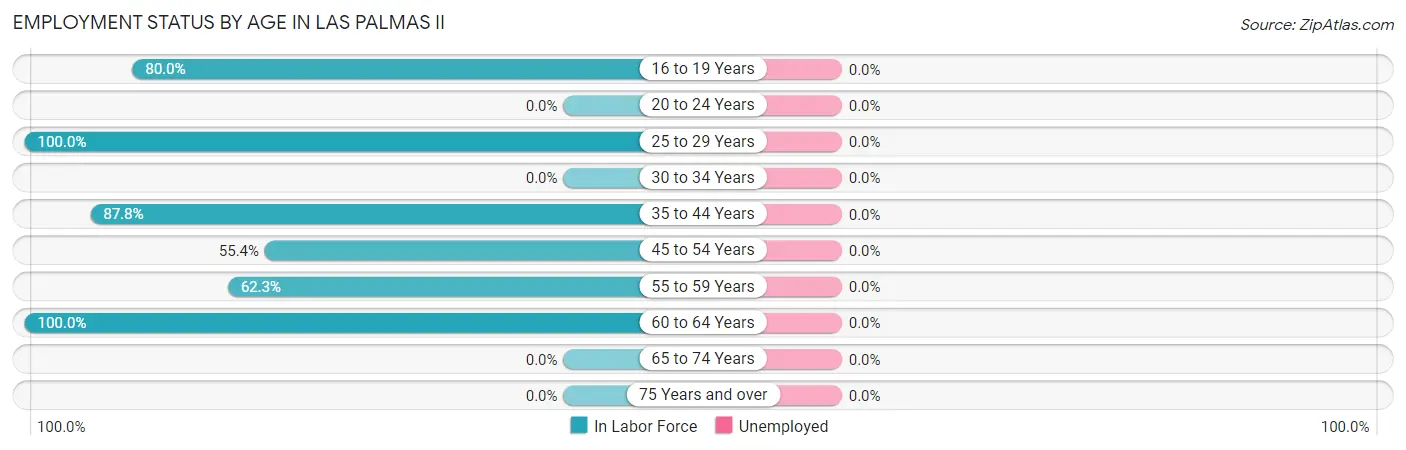 Employment Status by Age in Las Palmas II