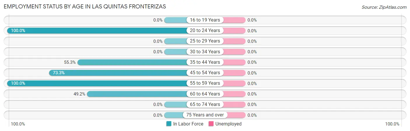 Employment Status by Age in Las Quintas Fronterizas