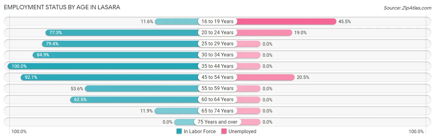 Employment Status by Age in Lasara