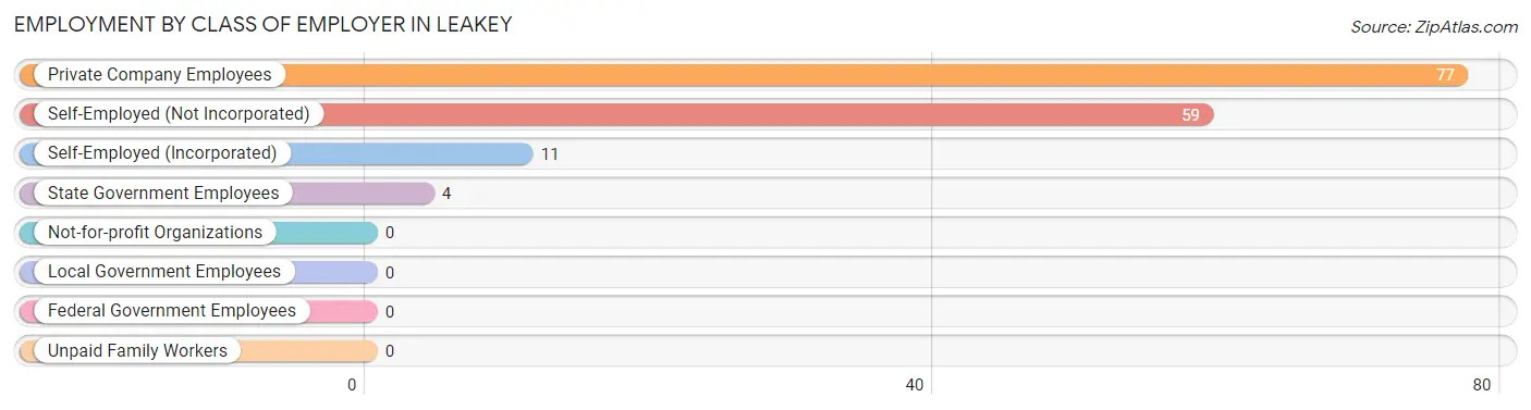 Employment by Class of Employer in Leakey