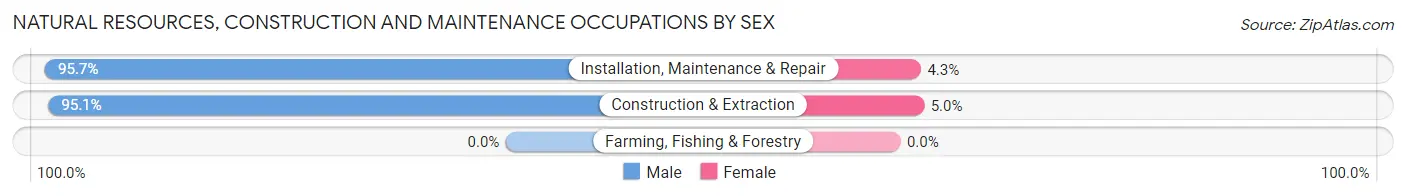 Natural Resources, Construction and Maintenance Occupations by Sex in Leander