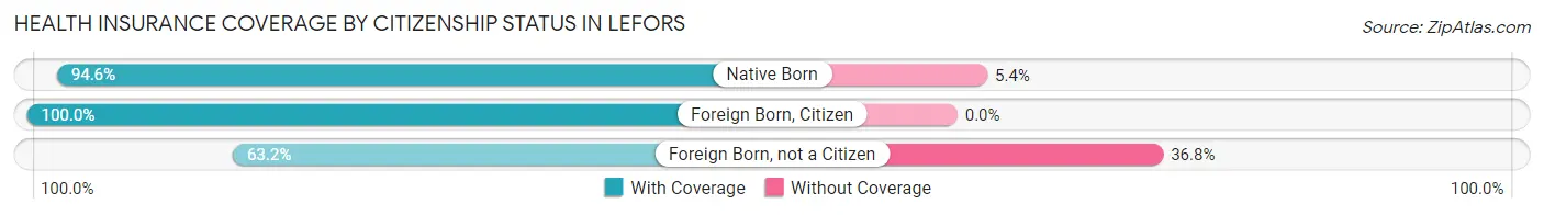 Health Insurance Coverage by Citizenship Status in Lefors