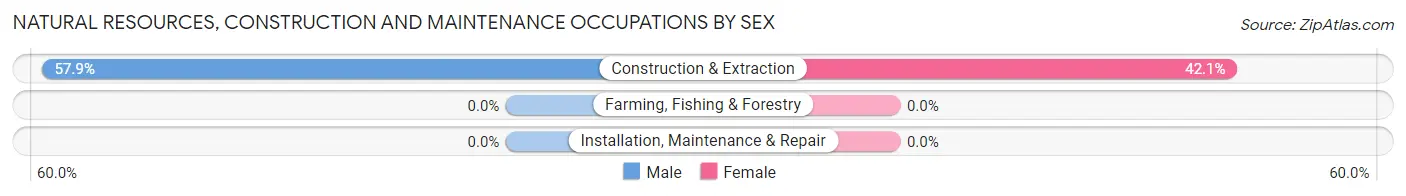 Natural Resources, Construction and Maintenance Occupations by Sex in Lefors