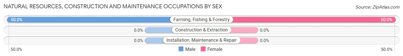 Natural Resources, Construction and Maintenance Occupations by Sex in Lelia Lake