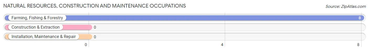 Natural Resources, Construction and Maintenance Occupations in Lelia Lake