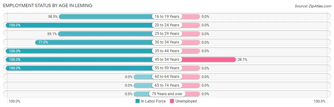 Employment Status by Age in Leming