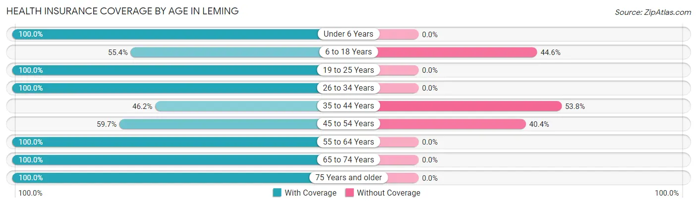 Health Insurance Coverage by Age in Leming