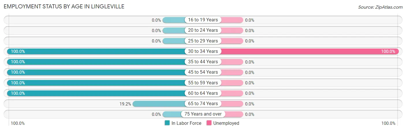 Employment Status by Age in Lingleville