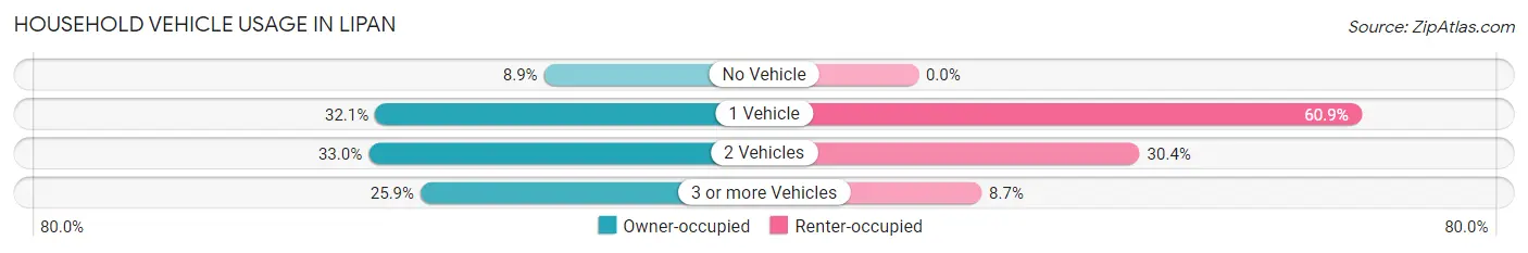 Household Vehicle Usage in Lipan