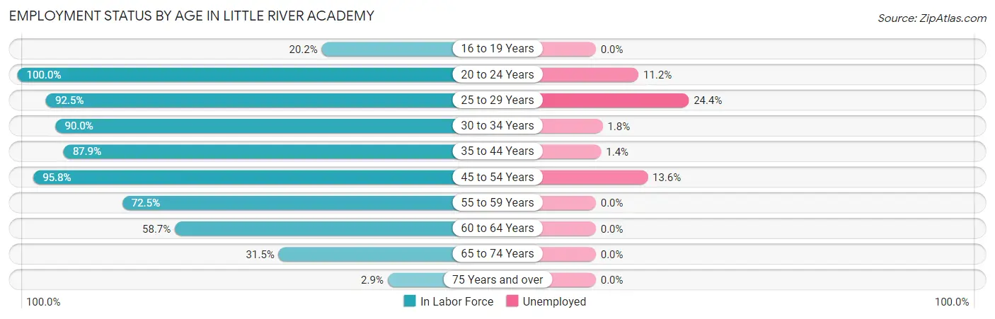 Employment Status by Age in Little River Academy