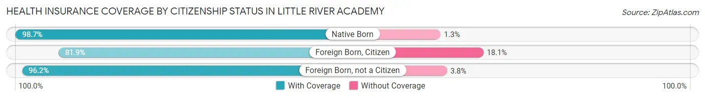 Health Insurance Coverage by Citizenship Status in Little River Academy