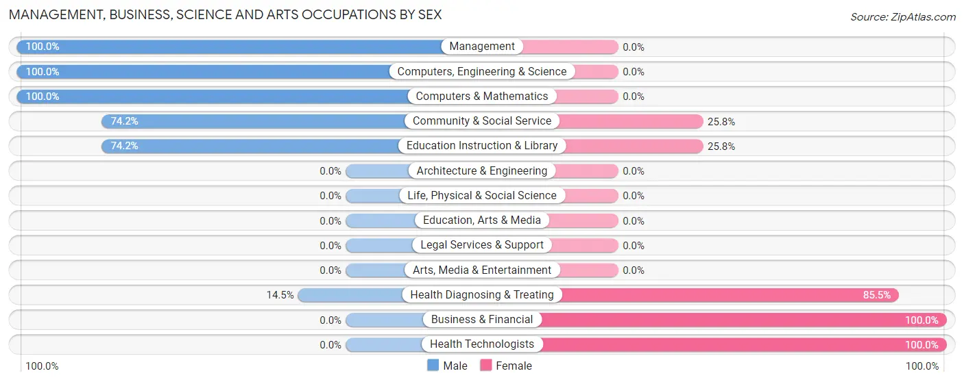 Management, Business, Science and Arts Occupations by Sex in Llano Grande