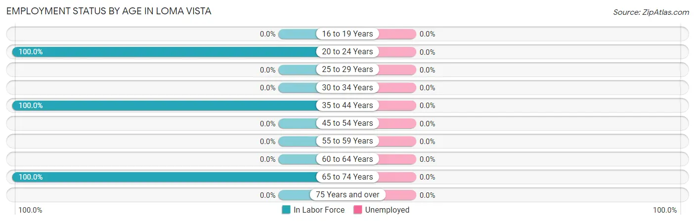 Employment Status by Age in Loma Vista