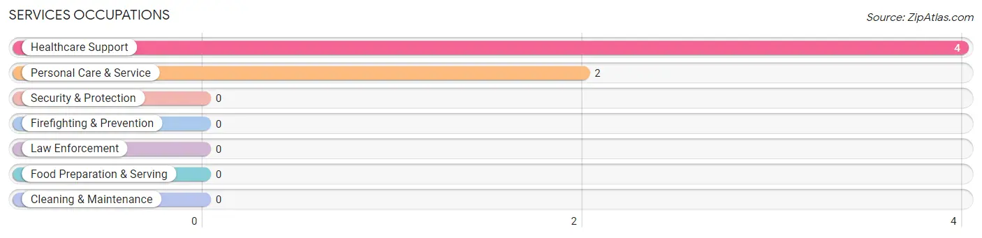 Services Occupations in Loop