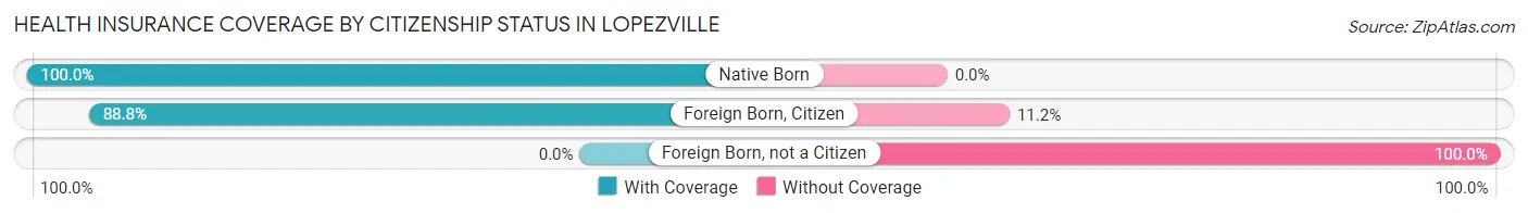 Health Insurance Coverage by Citizenship Status in Lopezville