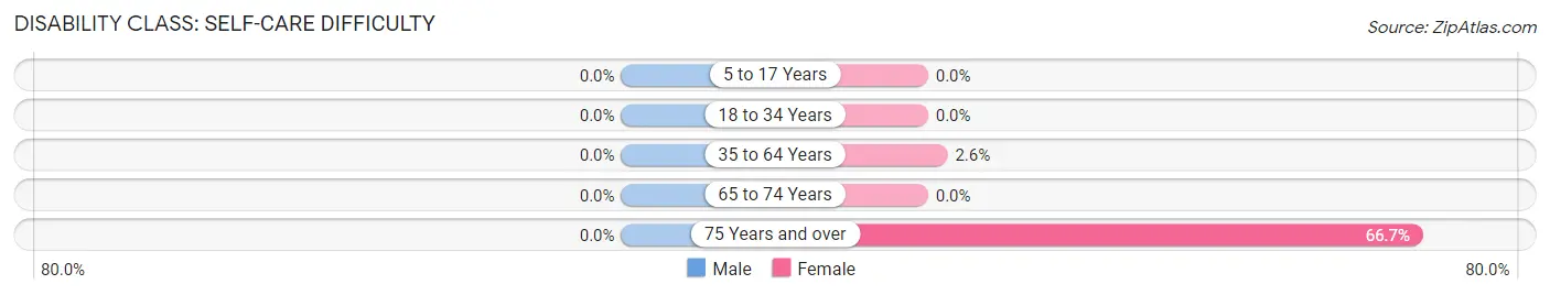 Disability in Loraine: <span>Self-Care Difficulty</span>