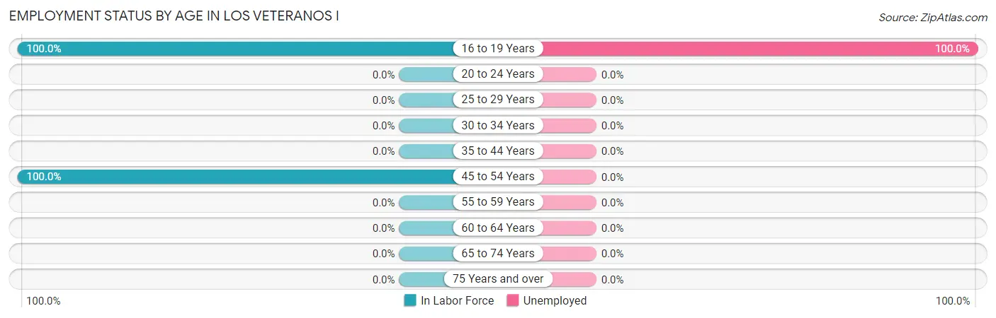 Employment Status by Age in Los Veteranos I