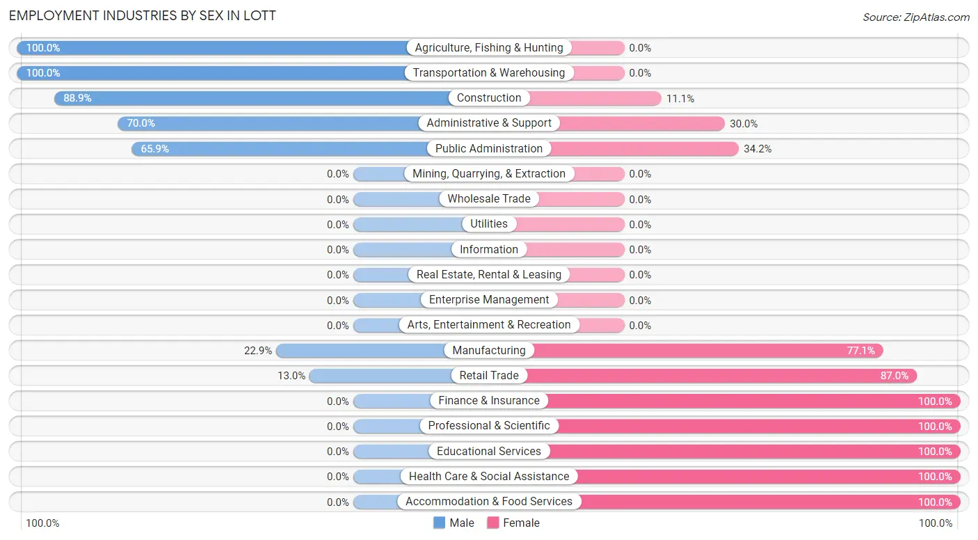 Employment Industries by Sex in Lott