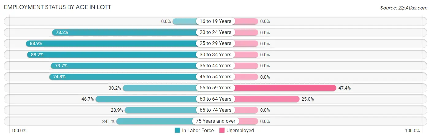 Employment Status by Age in Lott