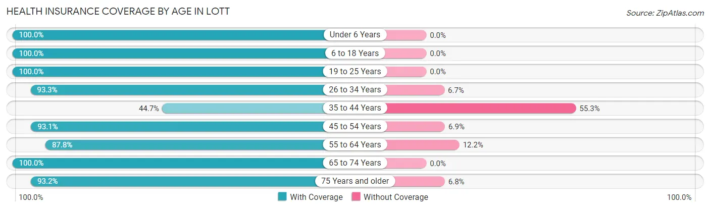 Health Insurance Coverage by Age in Lott