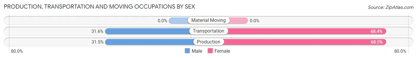 Production, Transportation and Moving Occupations by Sex in Lott