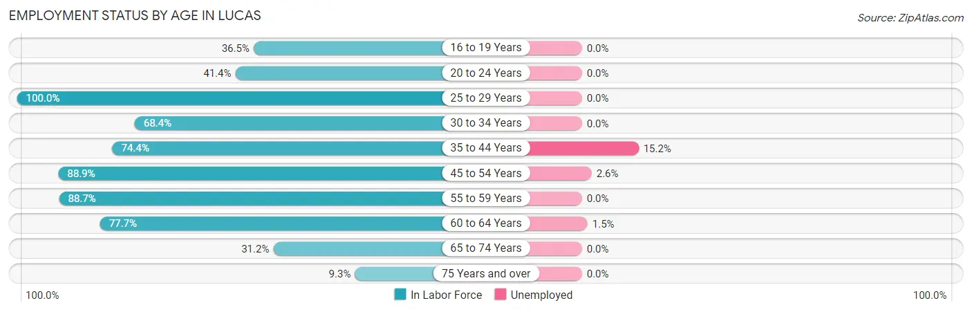 Employment Status by Age in Lucas