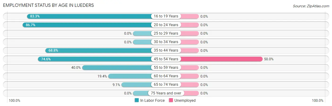 Employment Status by Age in Lueders
