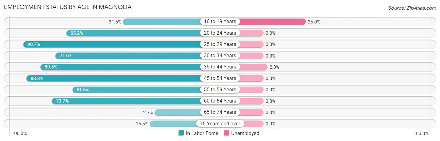 Employment Status by Age in Magnolia