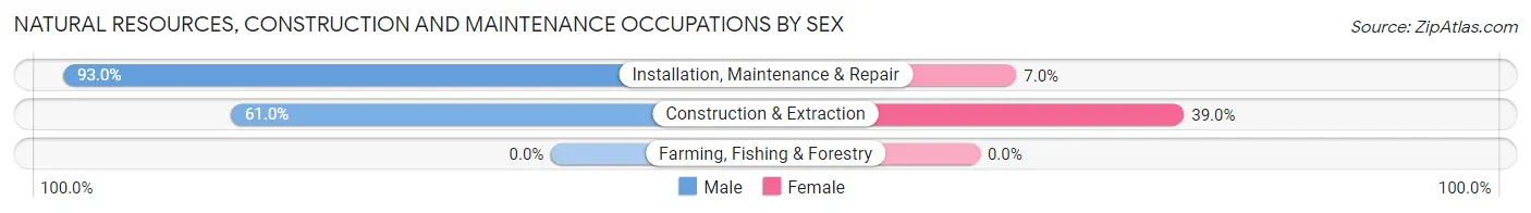 Natural Resources, Construction and Maintenance Occupations by Sex in Manvel