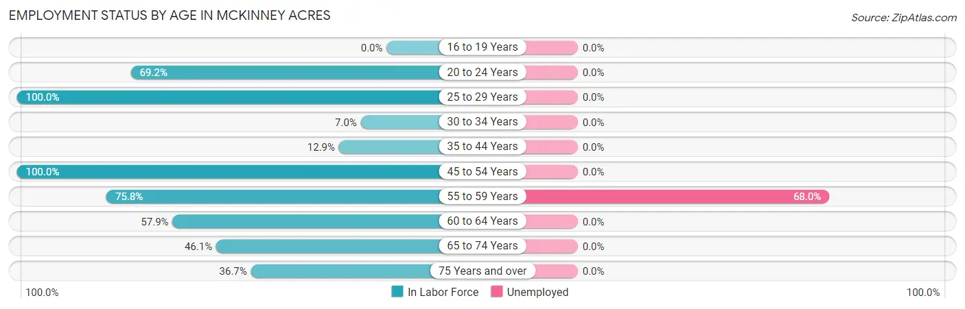 Employment Status by Age in McKinney Acres