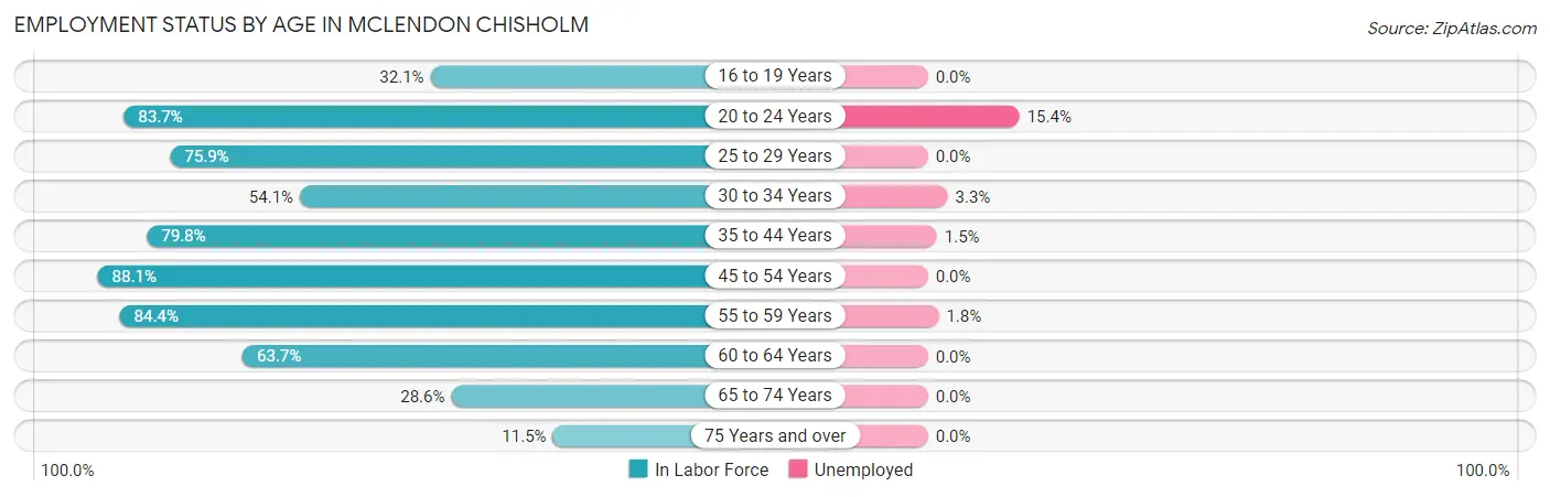 Employment Status by Age in McLendon Chisholm