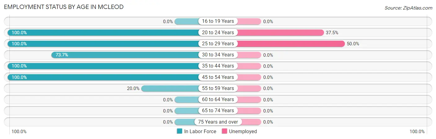 Employment Status by Age in McLeod
