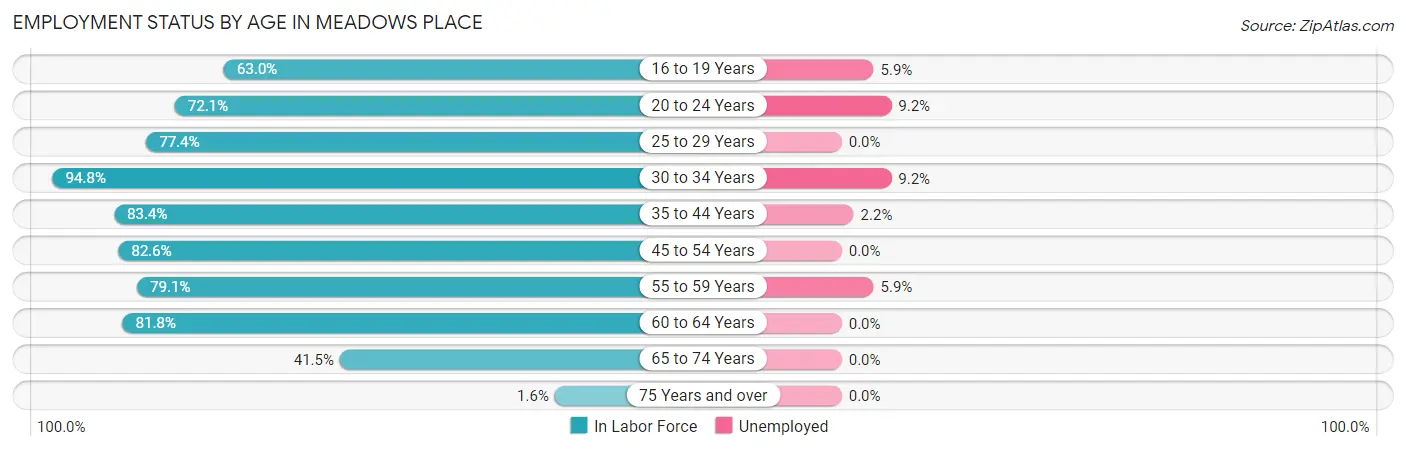 Employment Status by Age in Meadows Place