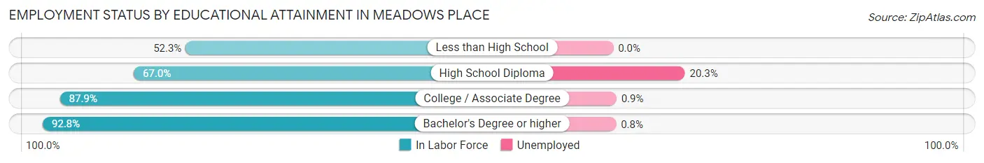 Employment Status by Educational Attainment in Meadows Place