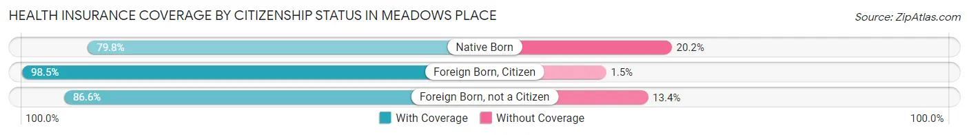 Health Insurance Coverage by Citizenship Status in Meadows Place