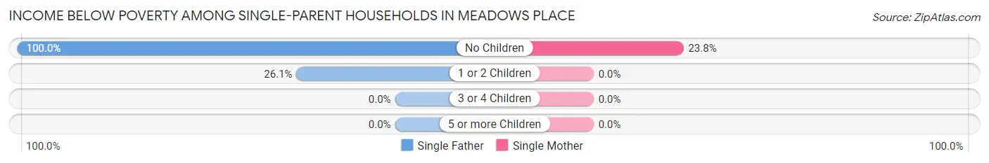 Income Below Poverty Among Single-Parent Households in Meadows Place