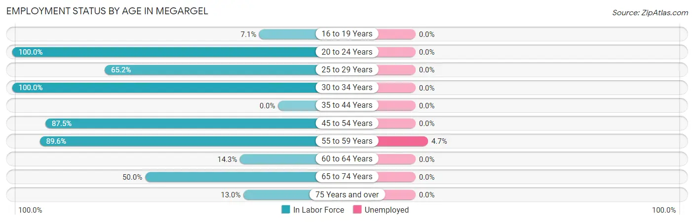 Employment Status by Age in Megargel
