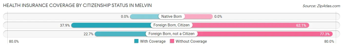 Health Insurance Coverage by Citizenship Status in Melvin
