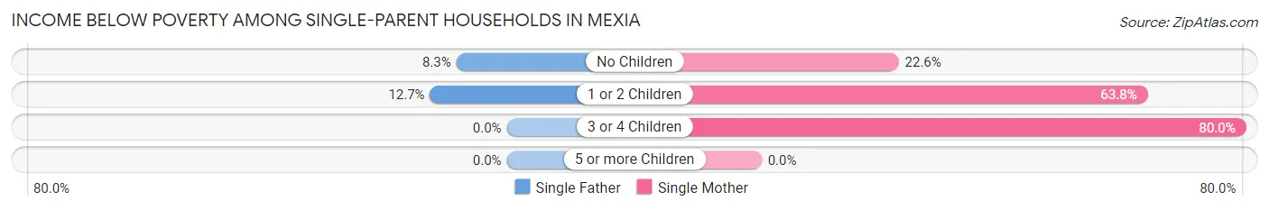 Income Below Poverty Among Single-Parent Households in Mexia