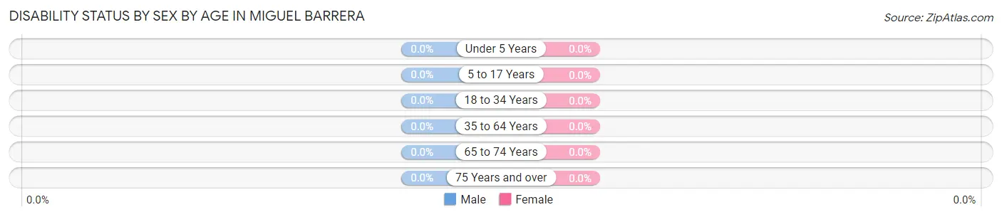 Disability Status by Sex by Age in Miguel Barrera