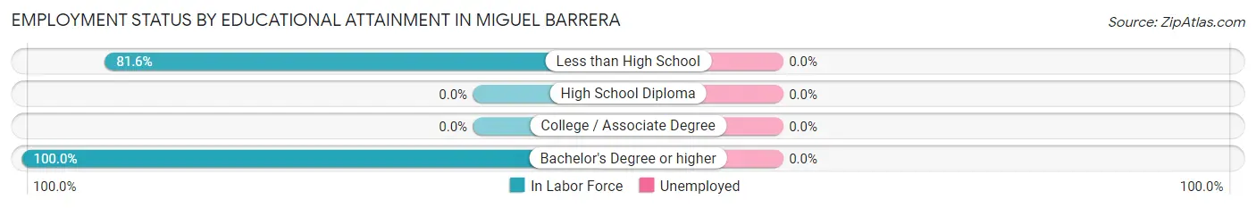 Employment Status by Educational Attainment in Miguel Barrera