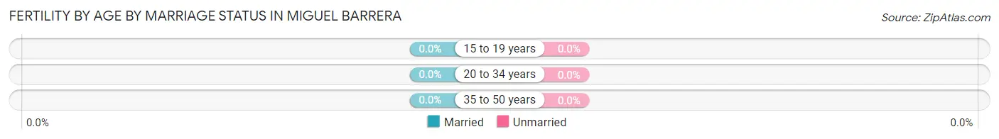Female Fertility by Age by Marriage Status in Miguel Barrera