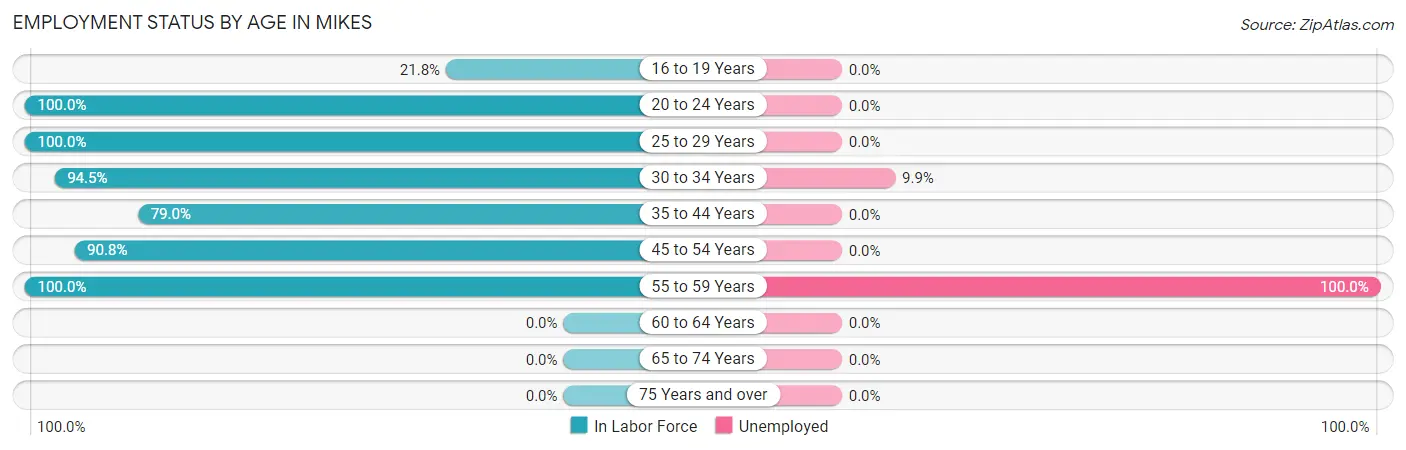 Employment Status by Age in Mikes