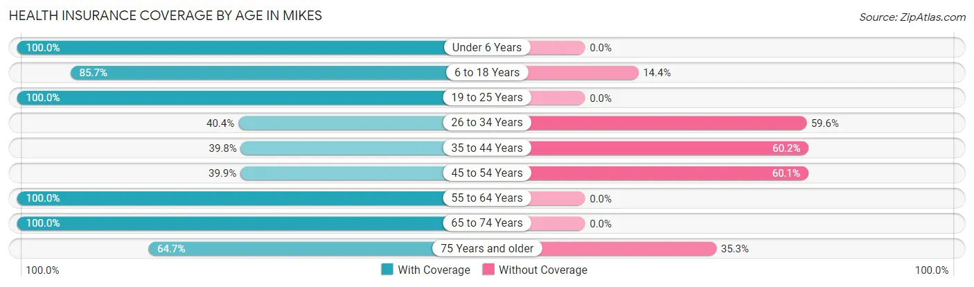 Health Insurance Coverage by Age in Mikes