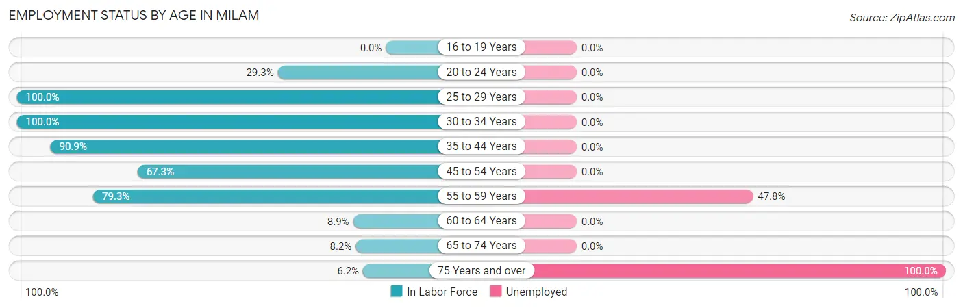 Employment Status by Age in Milam