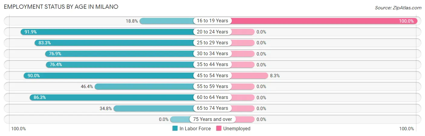 Employment Status by Age in Milano