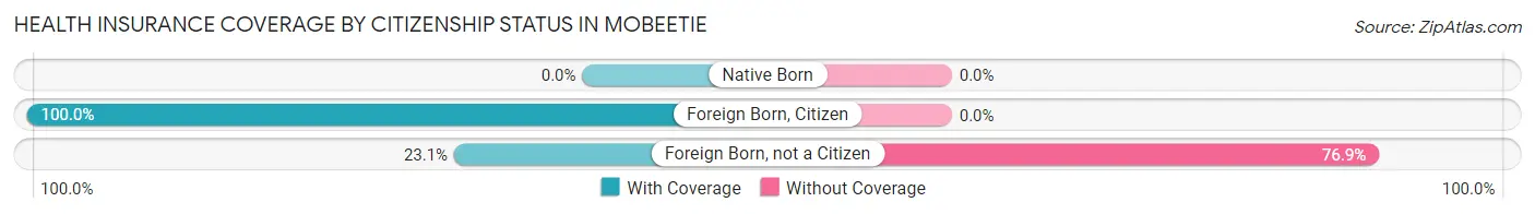 Health Insurance Coverage by Citizenship Status in Mobeetie