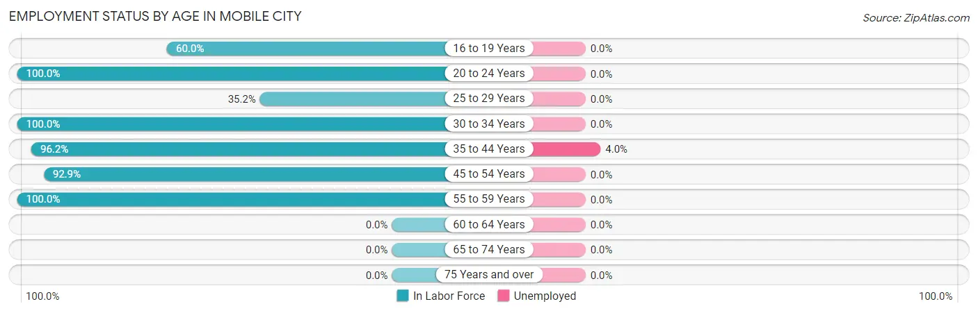 Employment Status by Age in Mobile City