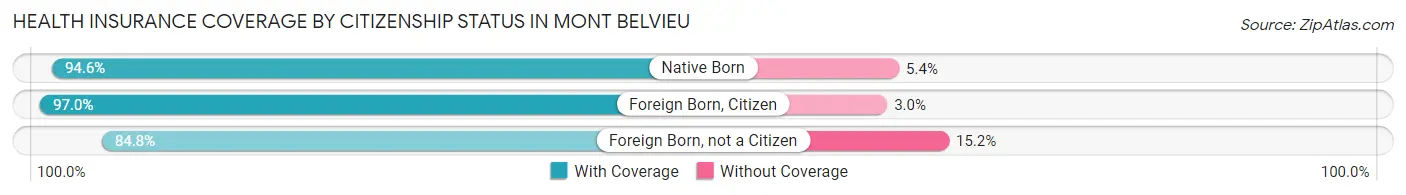 Health Insurance Coverage by Citizenship Status in Mont Belvieu